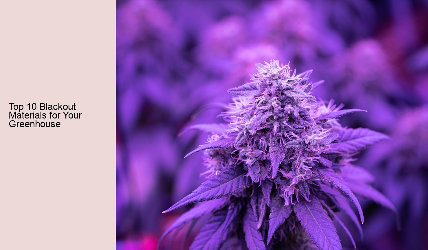 Top 10 Blackout Materials for Your Greenhouse